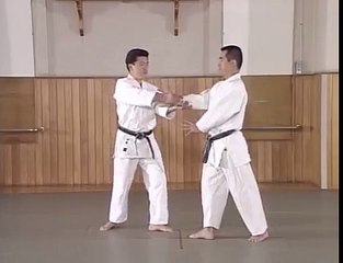 Энциклопедия Айкидо Ёшинкан. Yoshinkan Aikido DVD 1 9