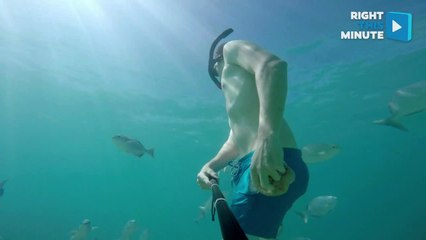 Underwater Adventure Explore the Ocean Life of Cabo