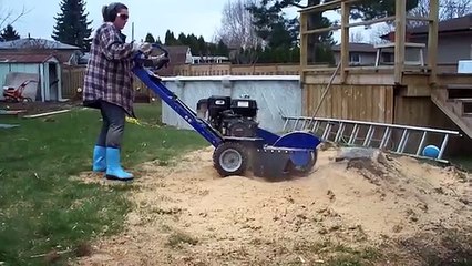 stump grinding southside