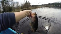 March Jig Fishing Big Bass Released Underwater