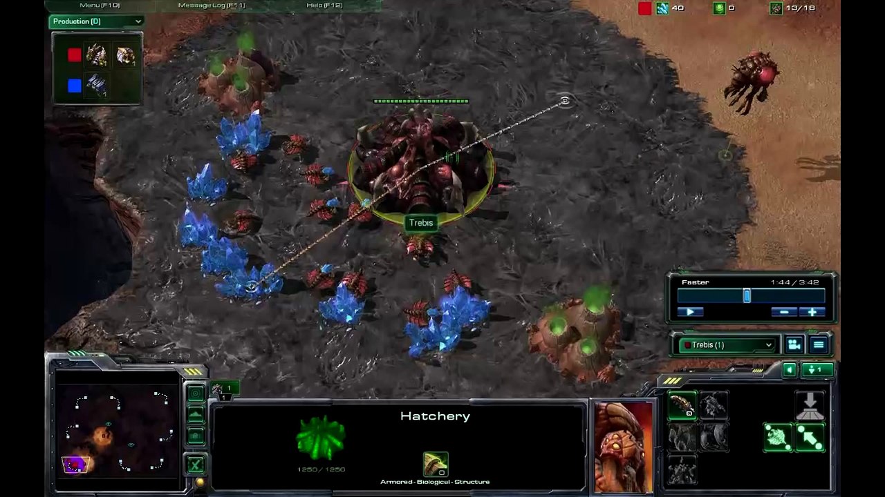 Standard Zerg Opener - Strategy - SC2 Noob School