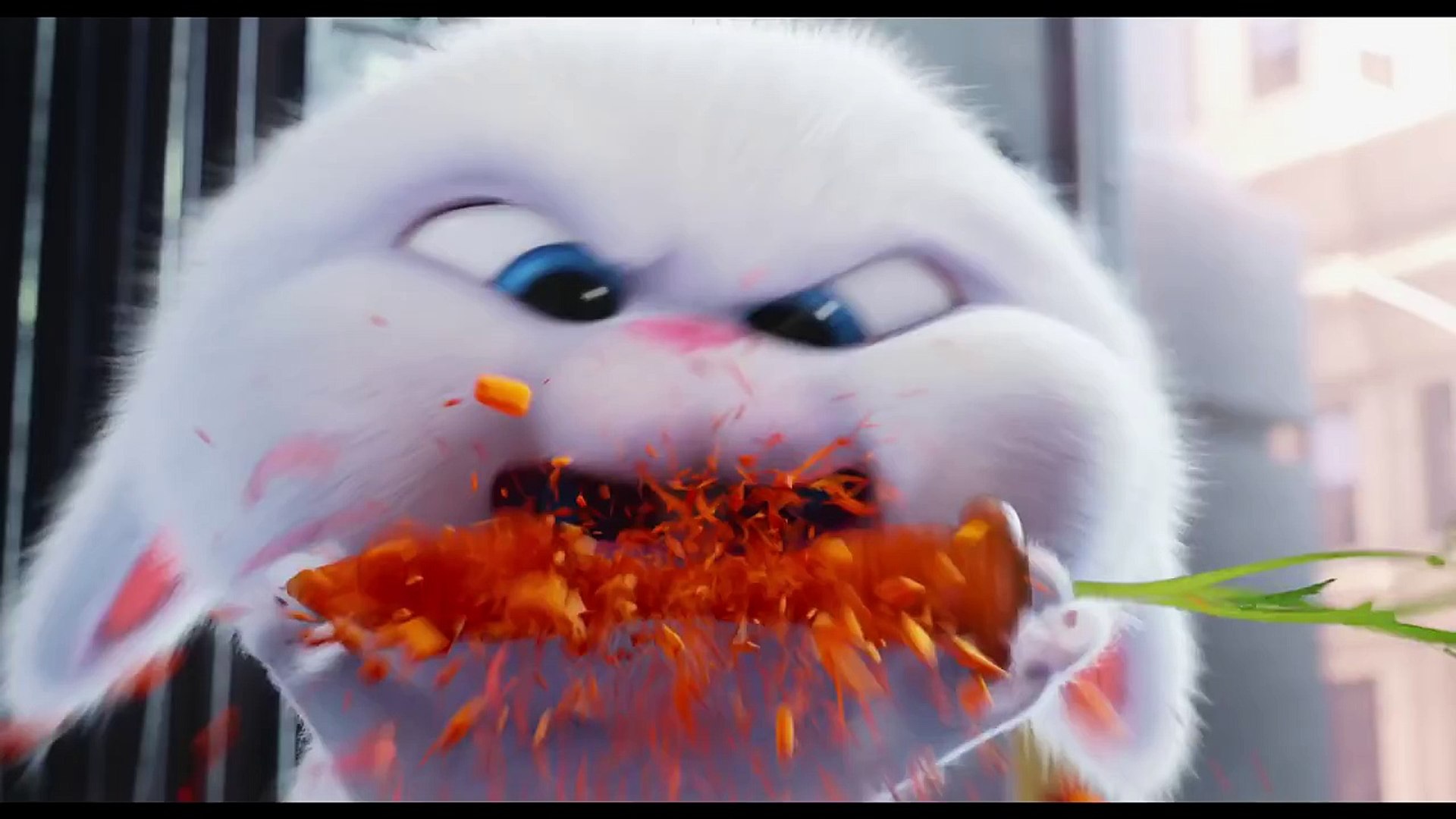 ⁣The Secret Life of Pets : meet Psycho Bunny !