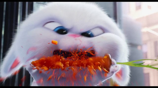 The Secret Life of Pets : meet Psycho Bunny !