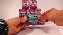 ★Littlest Pet Shop Fashems★ (Mashems) Opening LPS Fashem (Mashem) Blind Capsules Surprise