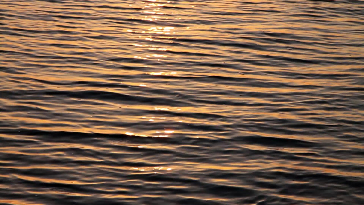 MVI_6419