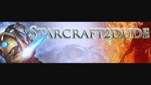 SC2 Zerg Strategy - How to Beat Master Diamond Platinum Gold Silver Bronze League Starcraft 2Players