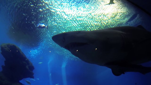 Suivez la fille de vos rêves en vacances à Majorque...