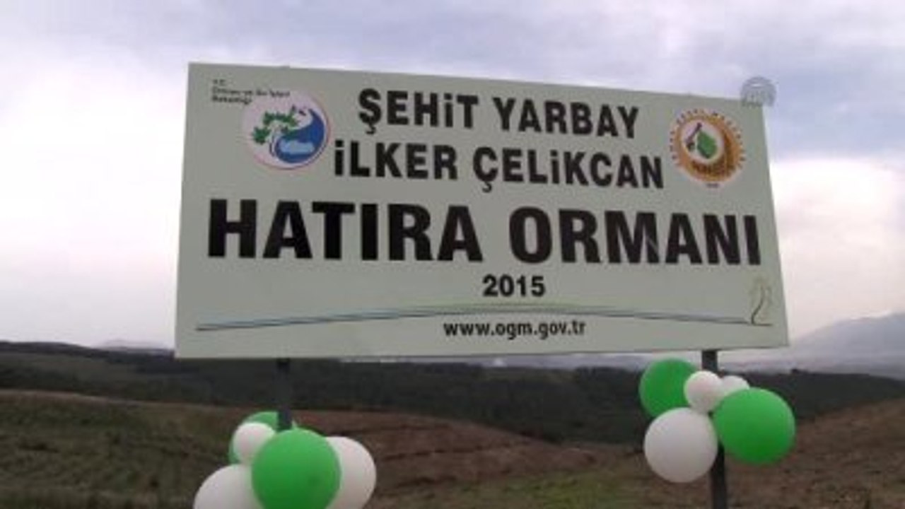 Yanan Orman Alanına 3 Bin Fidan Dikildi