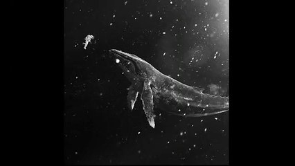 [EXO(엑소) Girl x Friend [Full AUDIO]