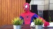 Spiderman vs Venom Jacuzzi Bath Time - Superhero Movie BathTime in Real Life