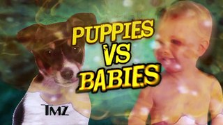 CUTE BATTLE: Babies vs. Puppies with Kelly Rowland