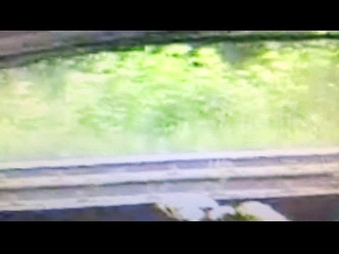 السنة الشيعة أبو بكر البغدادي معاقبة يسوع المسيح
