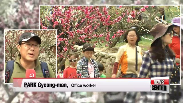 Flower festivals in full bloom across southern provinces