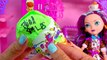 Ever After High Sugar Coated Madeline , Mad Hatter Daughter Doll + Cookieswirlc Fan Blind