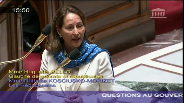 Energies renouvelables : S. Royal répond à une question au Gouvernement