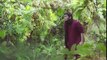 Dil Amar By Tanjib Sarowar -Official Music Video-1080pHD ( 480p )