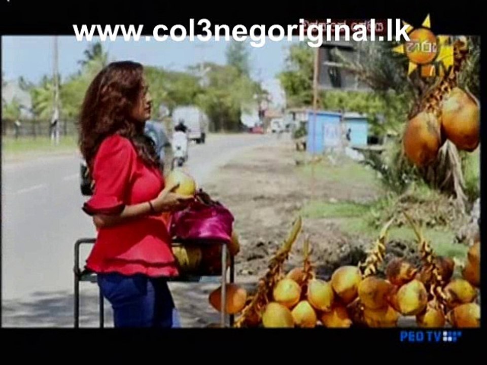 Wanness Premaya -22-03-2016