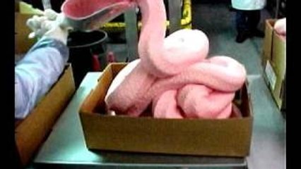 What Are Chicken Nuggets Made Of?