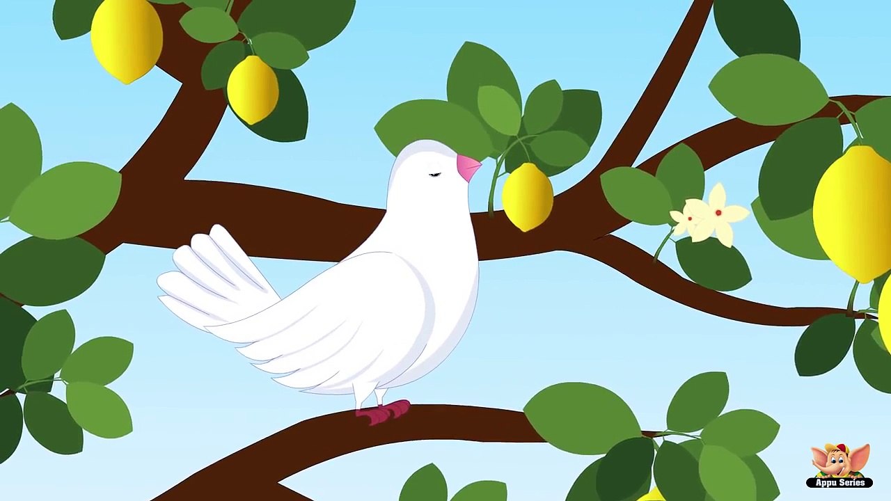 La paloma blanca Spanish Nursery Rhyme