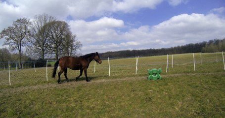 2016.03.22.rond.longe.dipti.zb