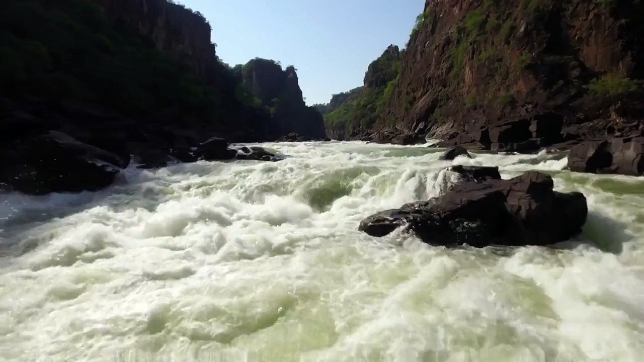Des plongeons de 30 mètres aux chutes Victoria ! Dingue...