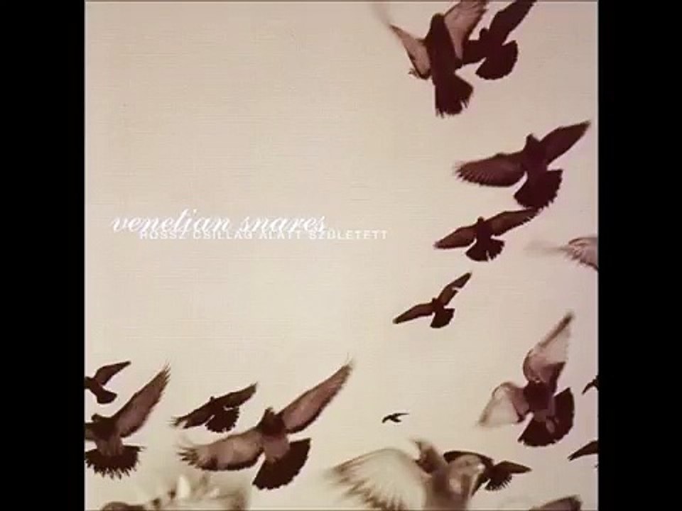 Venetian Snares - Hajnal (World Music 720p)