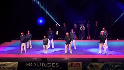Nuit des Arts Martiaux Bourges 2016