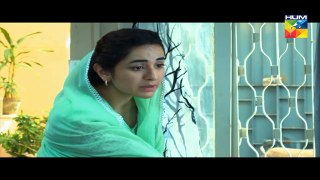 Zara Yaad Kar Episode 2 Full Hum TV Drama 22 March 2016