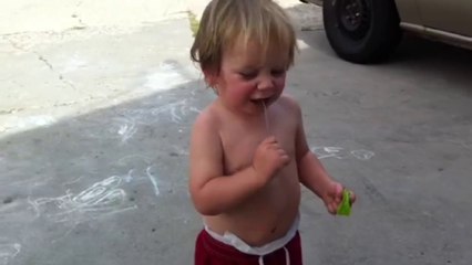 Pas facile de souffler une fleur de pissenlit... Pauvre gami