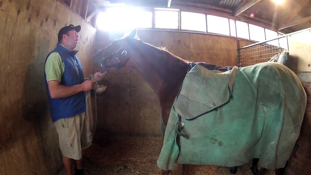 Jobs et Stages à l'étranger | Témoignage Caroline | Nouvelle Zélande