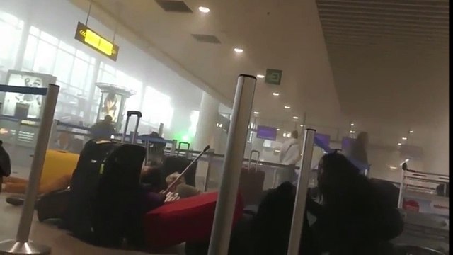 Bruselas: La reacción de los supervivientes en el caos (Vídeo que puede herir su sensibilidad)