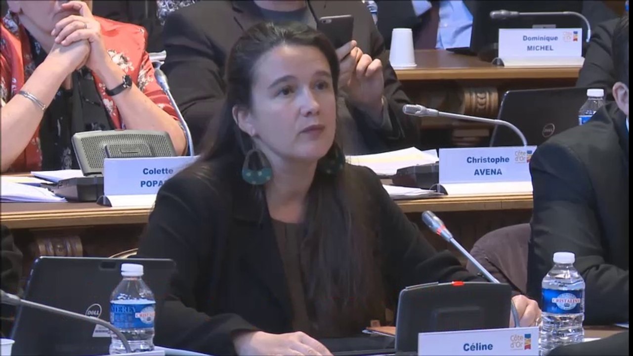 Céline MAGLICA. Question sur la réponse apportée à l'appel à projet de l'Etat pour le numérique dans les collèges.