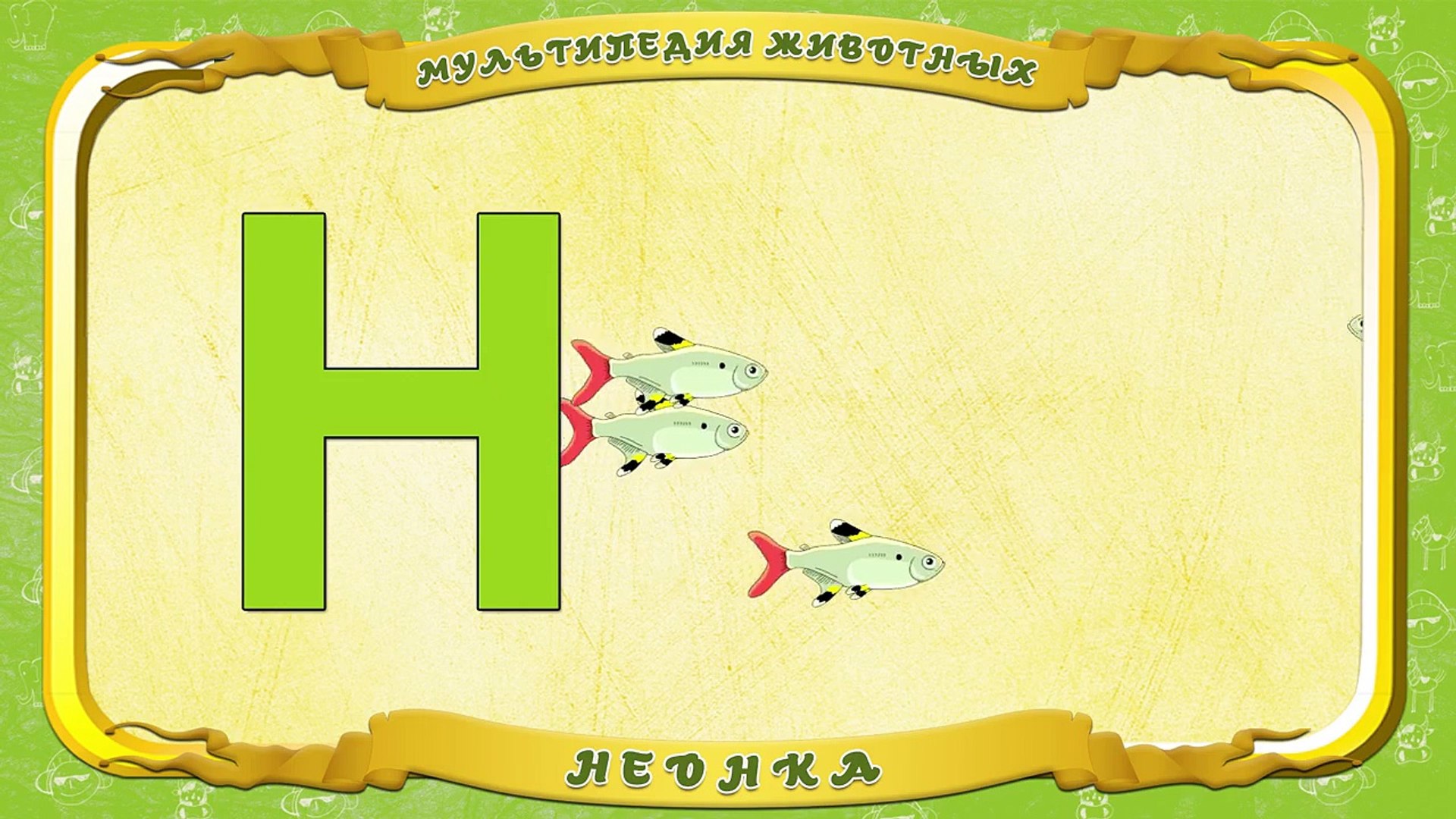 ⁣Мультипедия животных. Буква Н Неонка
