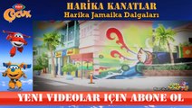 Harika Kanatlar Jamaika Dalgaları Jamaika