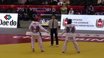 Чемпионат мира по тхэквондо .Челябинск 15 мая 2015 года . 19