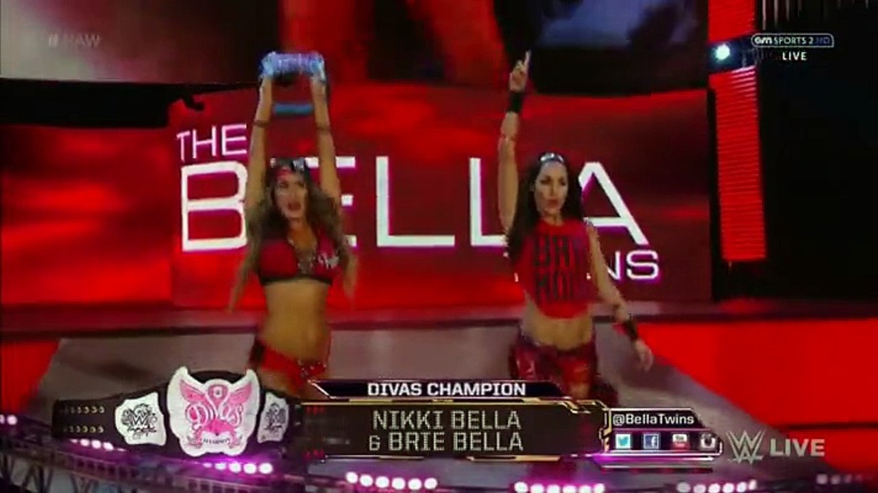 Paige vs The Bella Twins