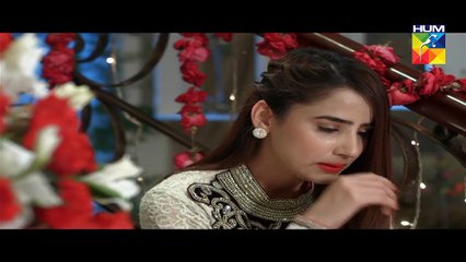 Lagao Episode 17 Full Hum TV Drama 14 Mar 2016