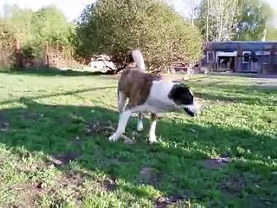 Sella ja Fargo