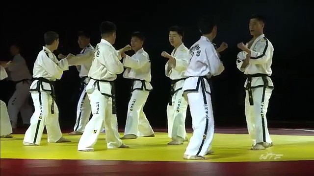 Чемпионат мира по тхэквондо ВТФ. Челябинск. 12.05.2015. Церемония открытия. 35