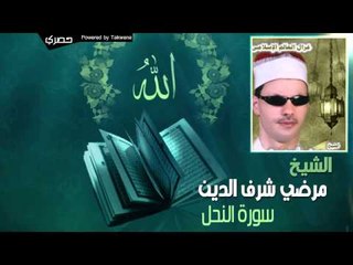 الشيخ مرضي شرف الدين - سورة النحل