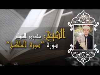 الشيخ محمود عبد الله المسلم - سورة الملك