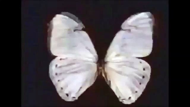 A SEGUIR CENAS DOS PROXIMOS CAPITULOS Marron Glacé