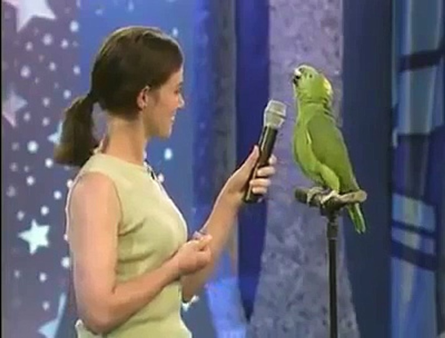 Quand Ce Perroquet Ouvre Son Bec Pour Chanter Tous Les Jures Sont Seduit Et Vous Ne Tarderez A L Dailymotion Video