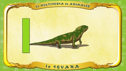 la Multipedia de animales. Letra I la Iguana