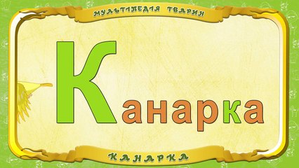 Мультіпедія тварин. Літера К Канарка