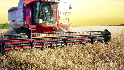 10 Most Dangerous Jobs Ever