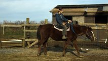 Nefyn's Lesson with KC JESSI: 100% NFQHA Quarter Horse mare