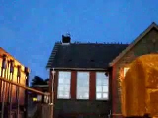 Jackdaws roosting as the sun goes down...