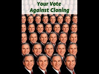 Admirável Mundo Novo