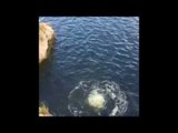 Fearless Guys Go Cliff Jumping